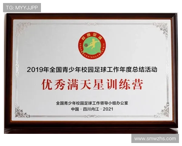 西安足球队实力分析与表现评估大满贯点评